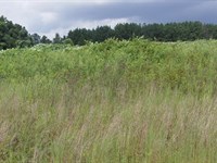 Bear Creek Farms, 2.5 Acres : Mansfield : Jasper County : Georgia