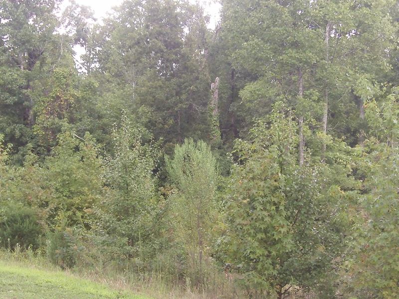 Carriage Farms, 1.55 Acre Lot : Gray Court : Laurens County : South Carolina