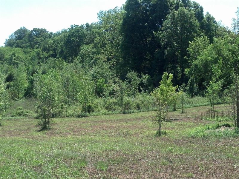 Creekside Farms, 1.83 Acre Lot : Gray Court : Laurens County : South Carolina