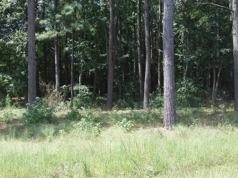 Deep Lake Farms, 8.96 Acre Lot : Shady Dale : Jasper County : Georgia