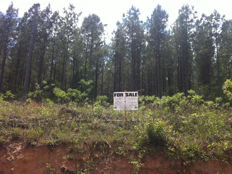 Greenfield Farms, 16.21 Acre Lot : Manchester : Coffee County : Tennessee