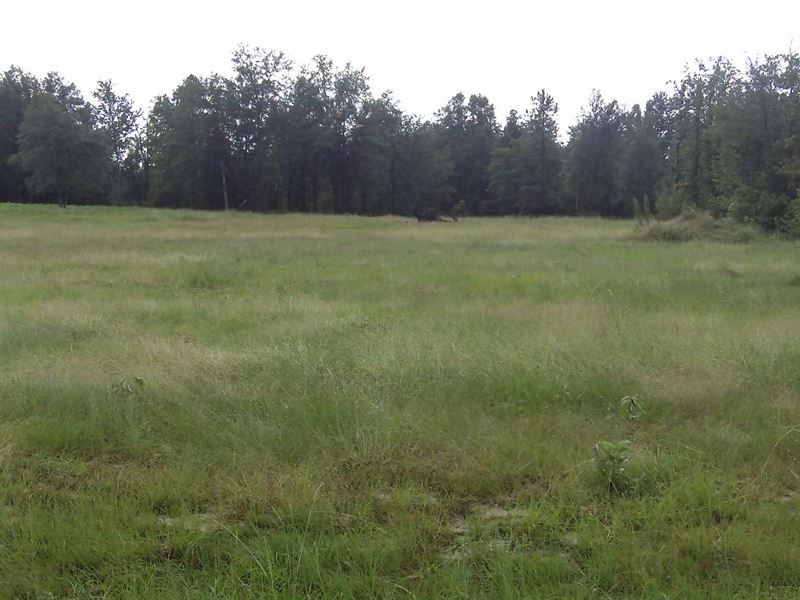 Huck Finn Farms, 5.06 Acre Lot : Batesburg-Leesville : Aiken County : South Carolina