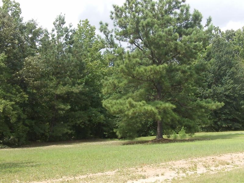 Oakley Estates, .50 Acre Lot : Hillsboro : Coffee County : Tennessee