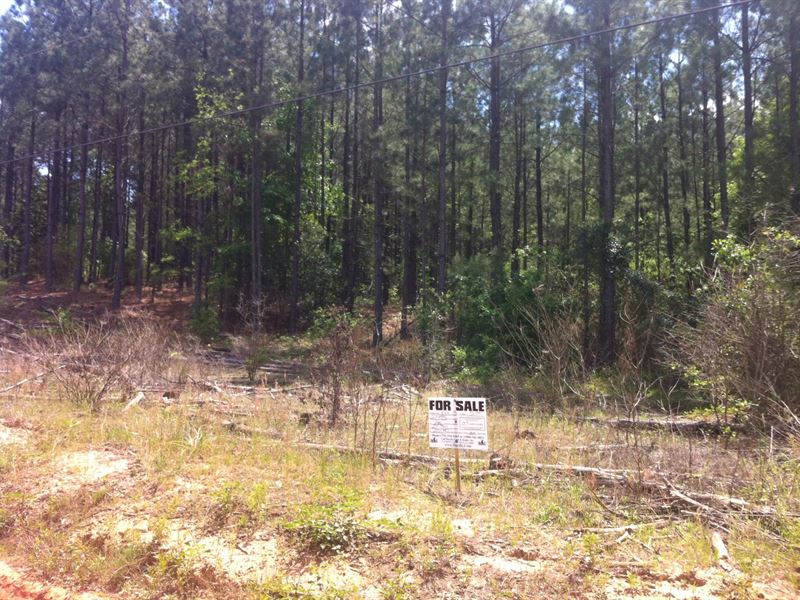 Riverbrooke Plantation, 2.38 Acre : Covington : Newton County : Georgia