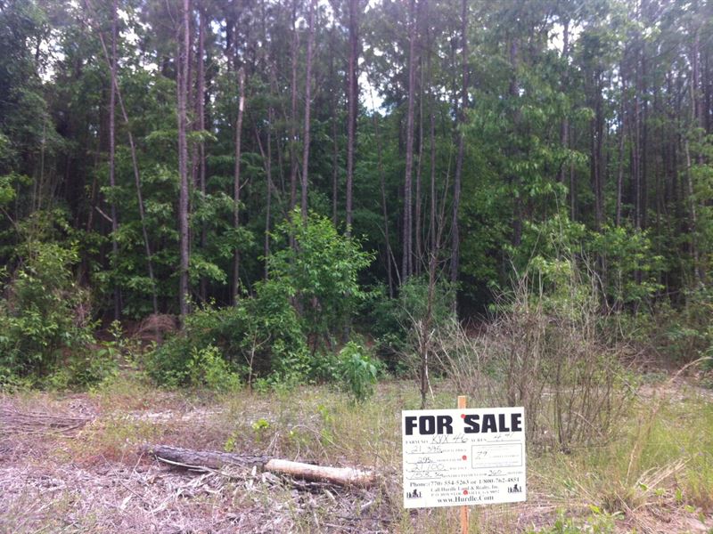 Sarah Hill Estates, 1.83 Acre Lot : Lizella : Crawford County : Georgia