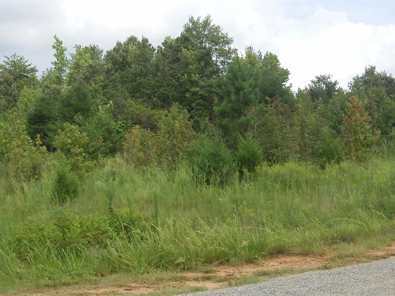 Ivy Plantation, 1.35 Acre Lot : Nicholson : Jackson County : Georgia