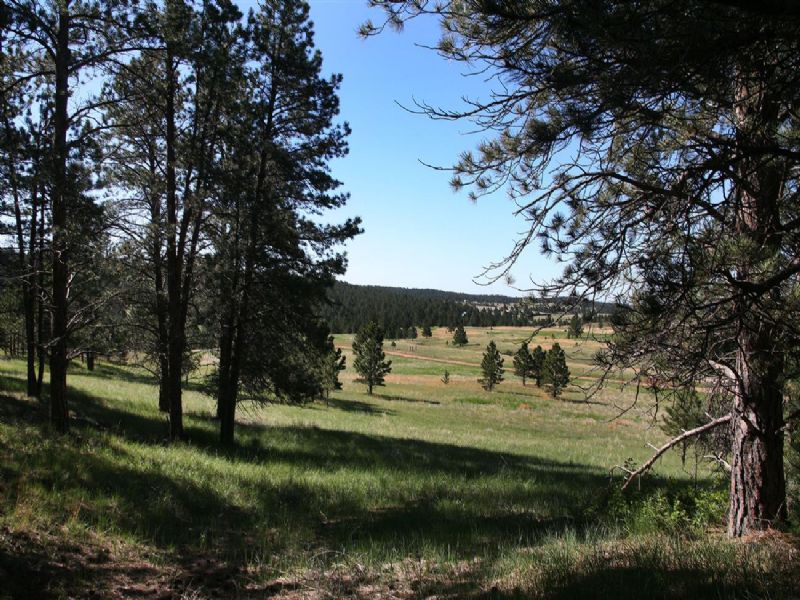 Highlands Acreage, Lot for Sale in South Dakota, 78034 LOTFLIP
