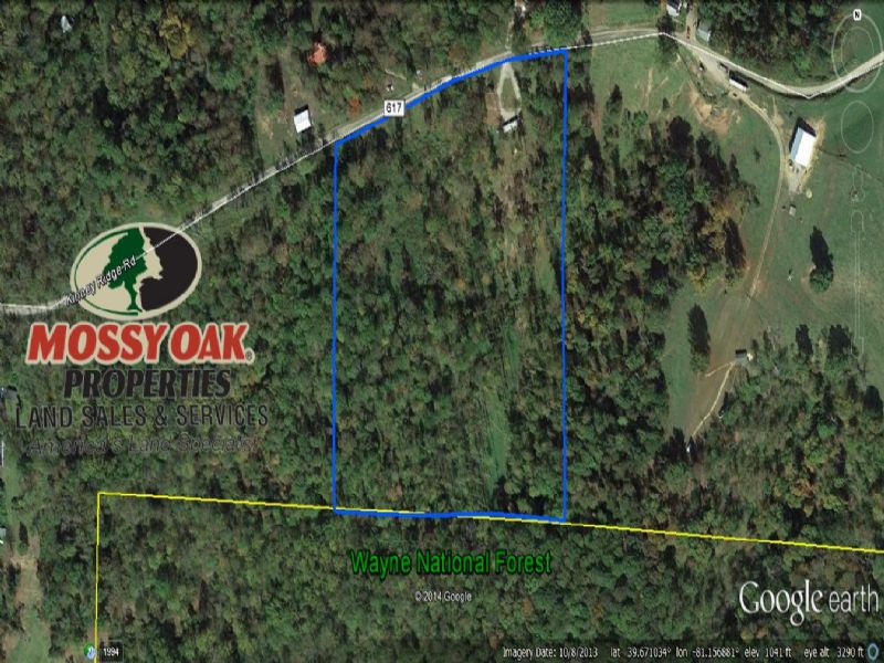 13 Acre Hunting Camp On Public, Lot for Sale in Ohio, 78599 LOTFLIP