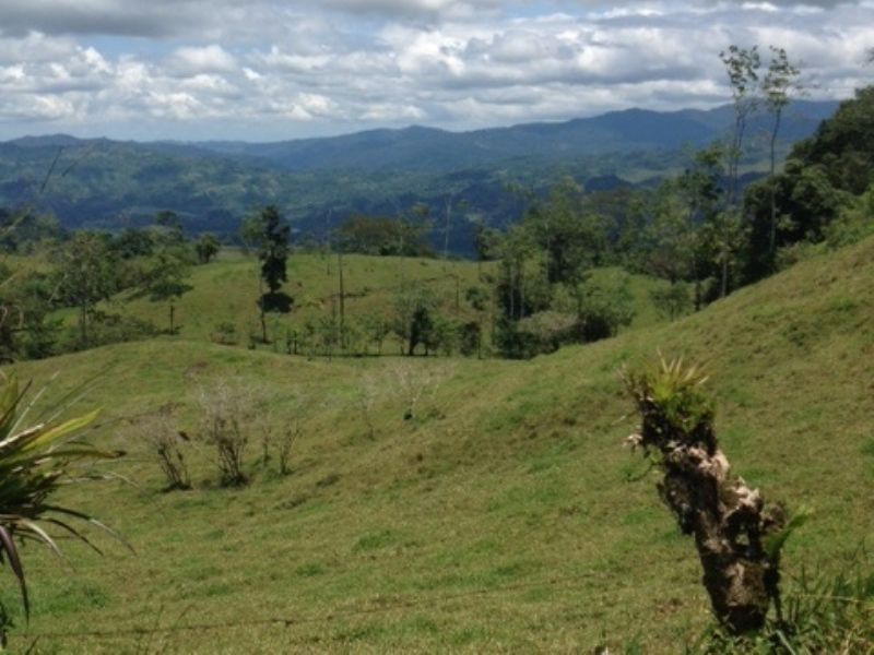 Drastically Reduced 16.5 Ac Farm : Turrialba : Costa Rica