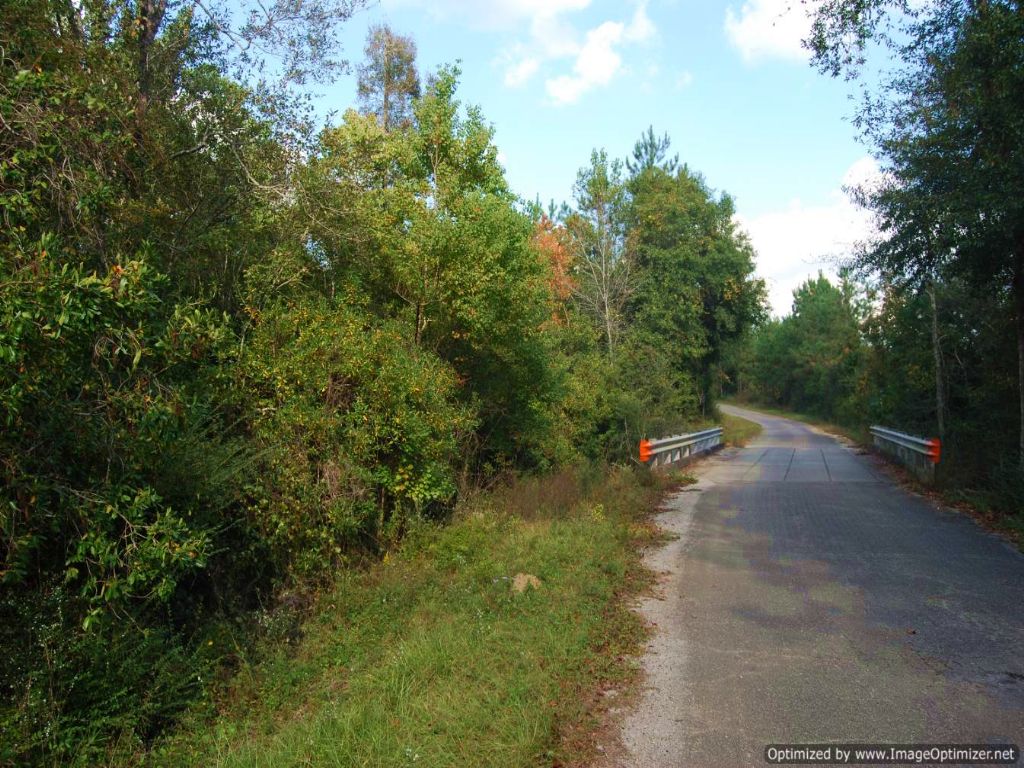 5 Acre Home Site in Poplarville : Poplarville : Pearl River County : Mississippi