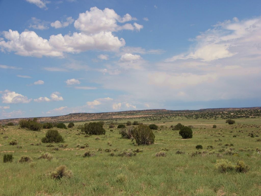 Snowflake Arizona Homesite : Snowflake : Navajo County : Arizona