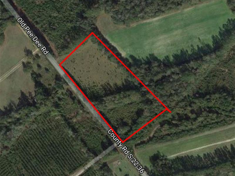 The Altman Tract : Andrews : Georgetown County : South Carolina