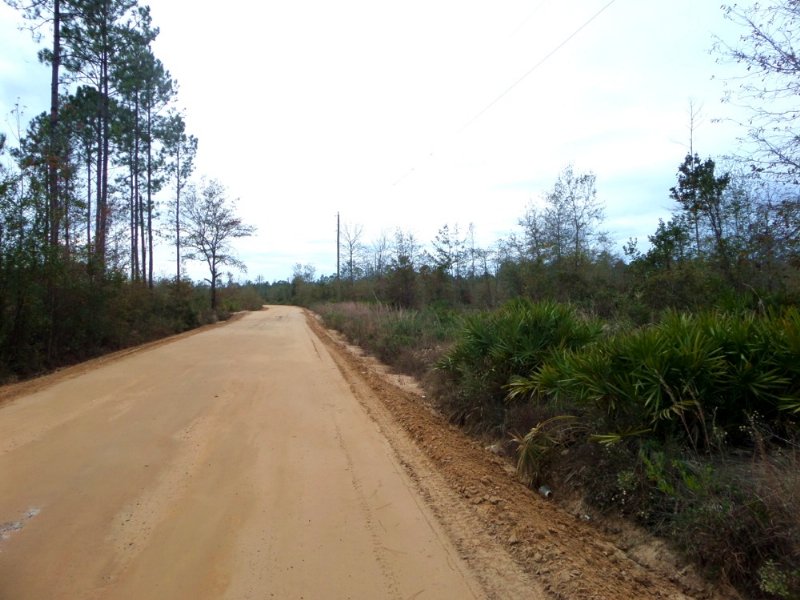 Several 3 Acre Tracts : Hortense : Brantley County : Georgia
