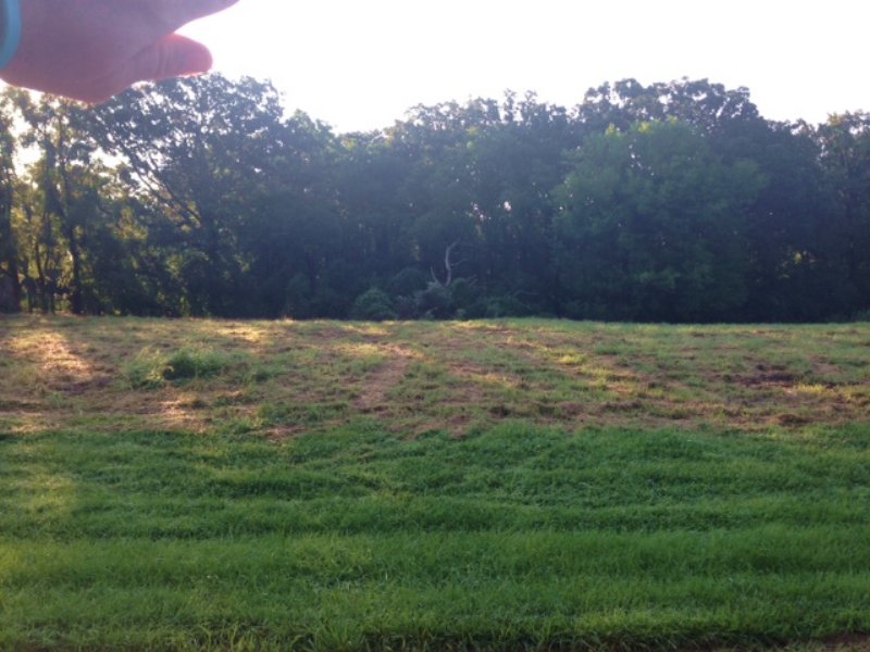Plat 2 Lot 139 Lake Perry Lot for Sale in Perryville, Perry County