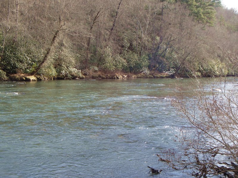 Toccoa River : Blue Ridge : Fannin County : Georgia