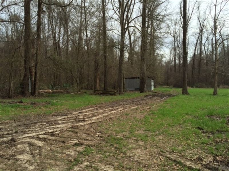 2.5 Ac, Hunting & Fishing Camp : Crowville : Madison Parish : Louisiana