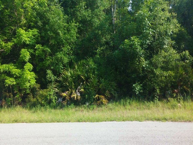 Lot .52 in Ridgemanor : Webster : Hernando County : Florida