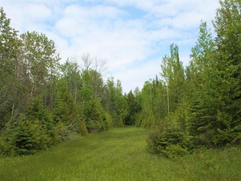 Lot 1 M-183, 1115795 : Garden : Delta County : Michigan