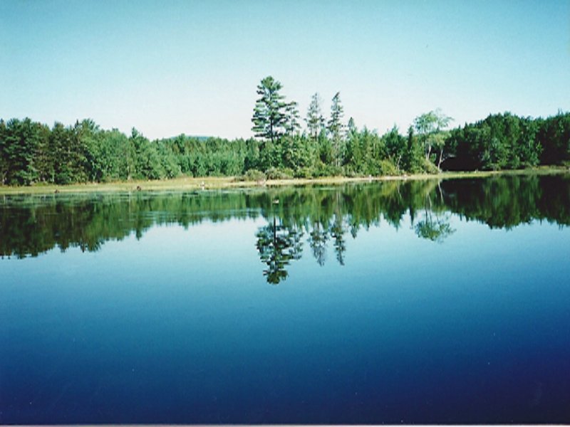 Loon Cove On Bottle Lake : Lakeville : Penobscot County : Maine