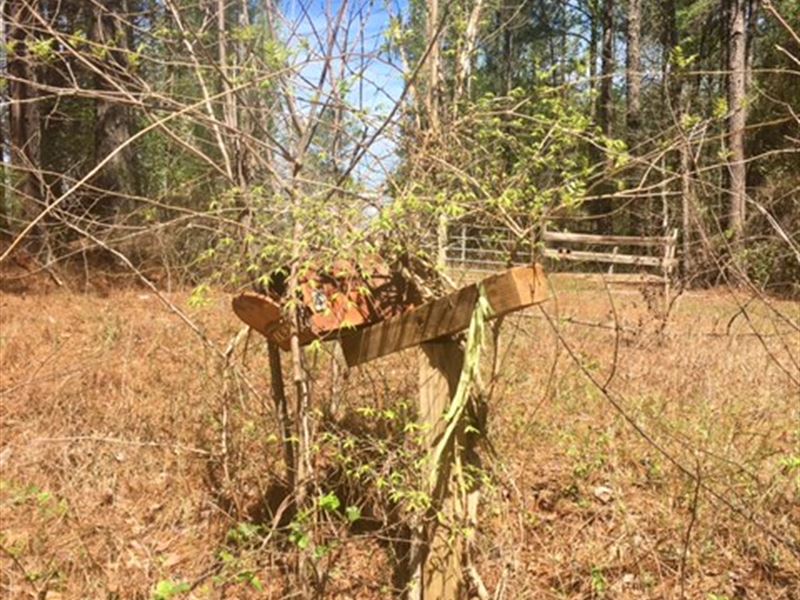 19.28 Ac with Well & Septic : Greensboro : Greene County : Georgia