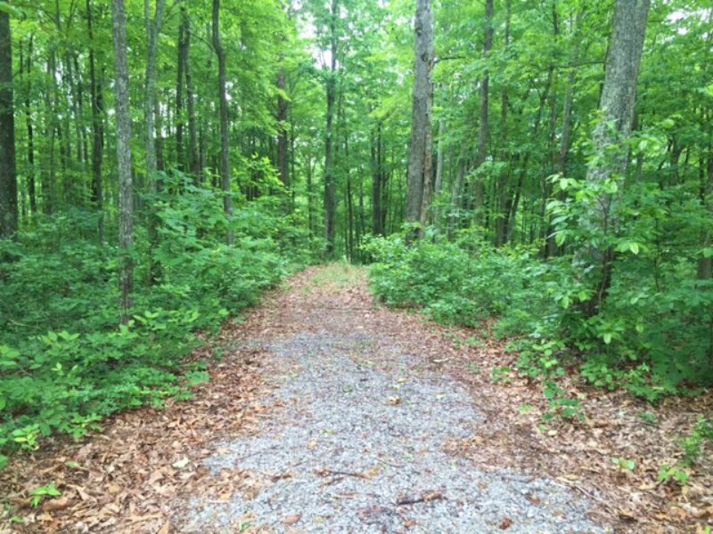 5+/- Acres On Fredonia Mtn : Dunlap : Sequatchie County : Tennessee