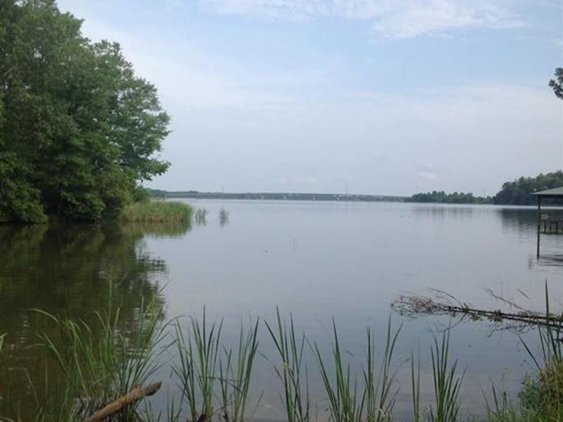 1.1 Acre Prairie Bluff Lake Lot : Catherine : Wilcox County : Alabama