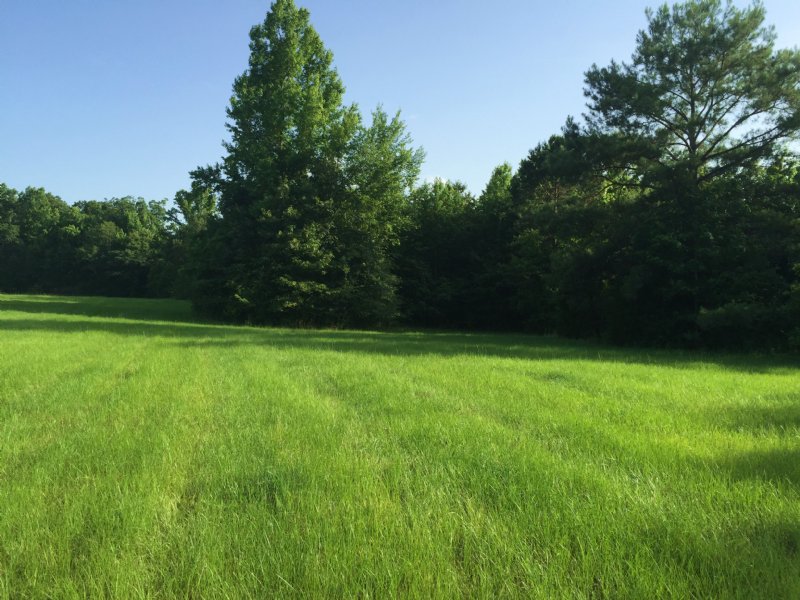 16 Ac Open Pasture : Wesson : Copiah County : Mississippi