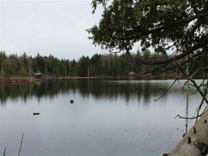 Lot 3 Channel Rd : Watersmeet : Gogebic County : Michigan
