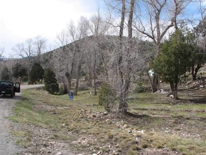 8660620, Beautiful Maysville Meadow : Maysville : Chaffee County : Colorado