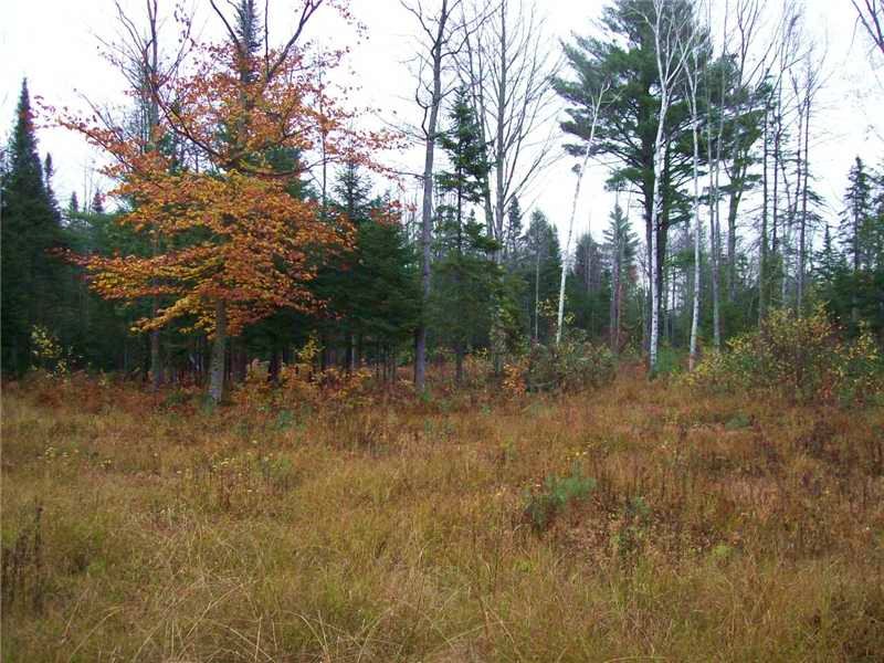 11 Acre Parcel : Pittsfield : Somerset County : Maine