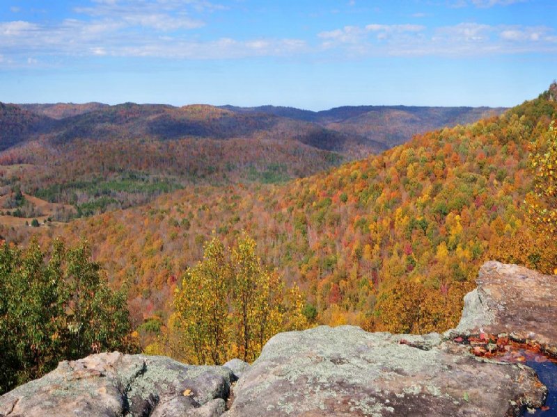 Bluffs Mountain Lots W/ Utilities, Lot for Sale in Tennessee, 95658