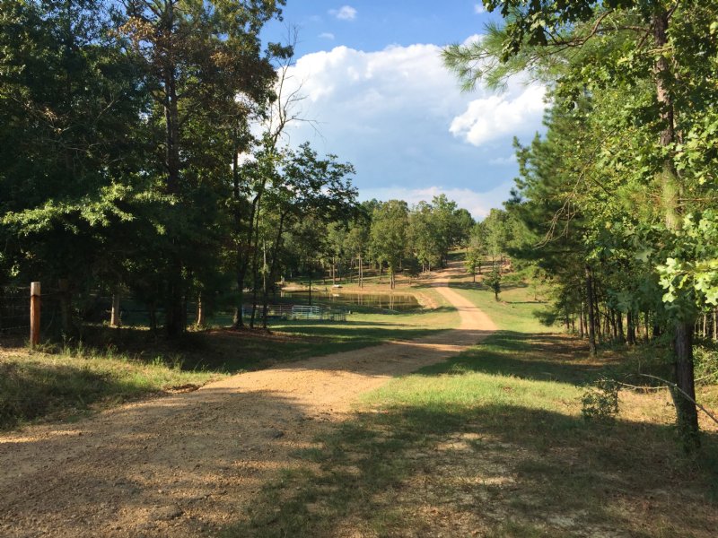 Country Living On 20 Ac : Wesson : Copiah County : Mississippi