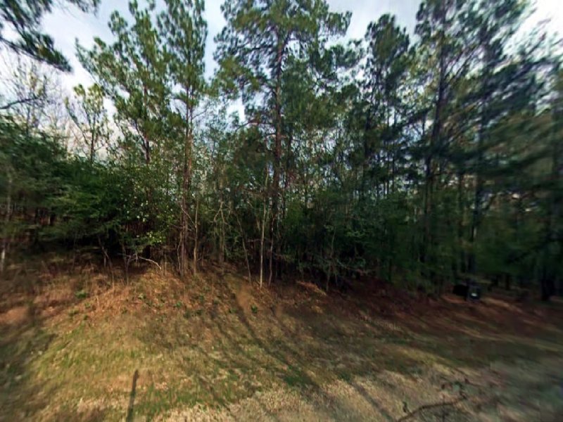 Residential Lot for Sale in Coldspr : Coldspring : San Jacinto County : Texas