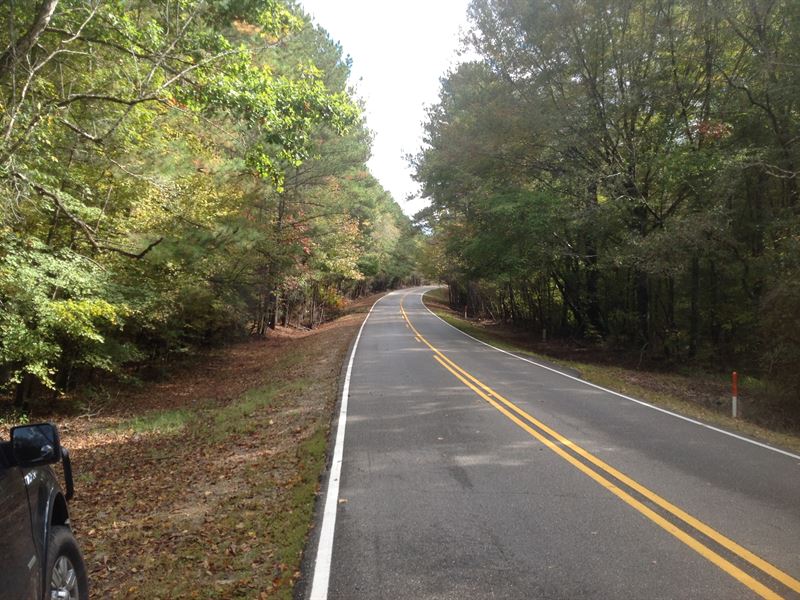 29-032 Fisher Creek Tract : Wetumpka : Elmore County : Alabama