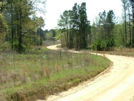 1.59 Acres : Thomson : McDuffie County : Georgia