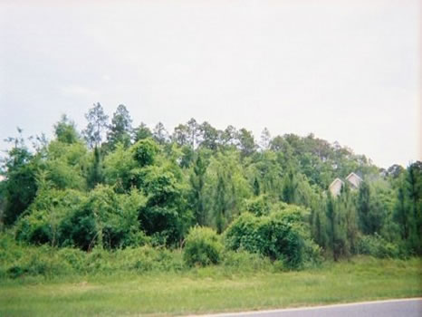 Prime Residential Lot : Swainsboro : Emanuel County : Georgia