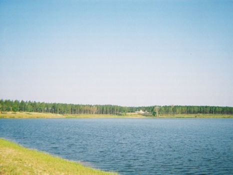 1 Acre Lot | Creek Shoals Estates : Lyons : Toombs County : Georgia
