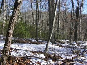 3.20 Acres : Marlinton : Pocahontas County : West Virginia