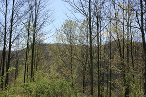 4.05 Acres : Slatyfork : Pocahontas County : West Virginia