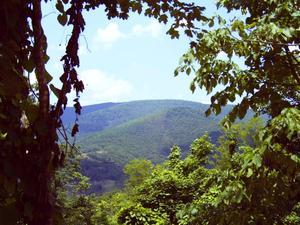 3.70 Acres : Hillsboro : Pocahontas County : West Virginia